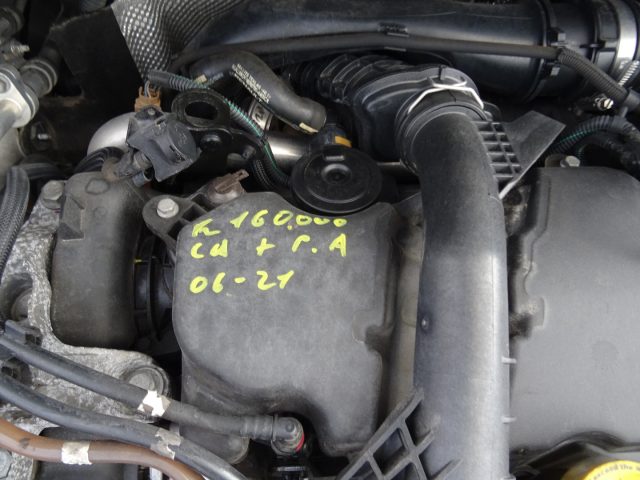 RENAULT Clio usata 14