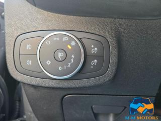 FORD Fiesta usata 14