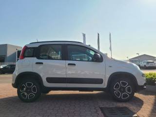 FIAT Panda usata, con Volante multifunzione