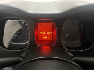 FIAT Panda usata 13