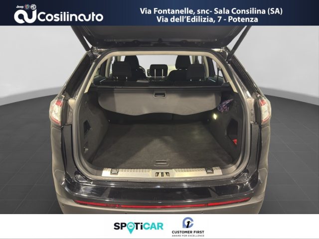 FORD Edge usata, con Servosterzo