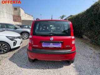 FIAT Panda usata 16