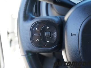 FIAT Panda usata 14