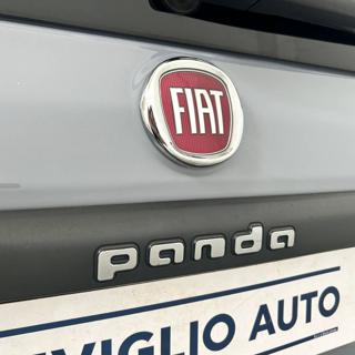 FIAT Panda usata, con Luce d