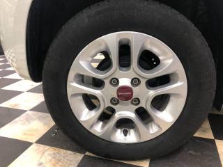 FIAT Panda usata, con Fendinebbia