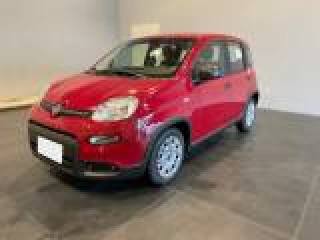 FIAT Panda usata, con Airbag