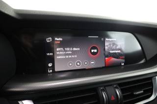 ALFA ROMEO Stelvio usata 11