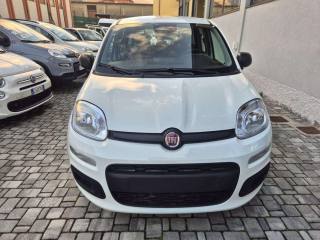 FIAT Panda usata, con Alzacristalli elettrici