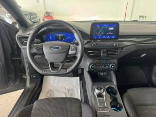 FORD Focus usata, con Fendinebbia