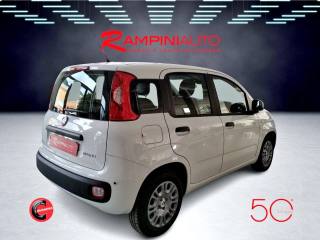 FIAT Panda usata 4