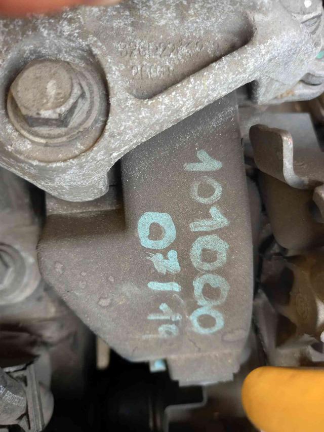 RENAULT Scenic usata 31