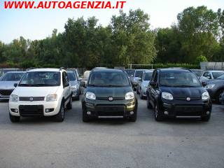 FIAT Panda usata 2