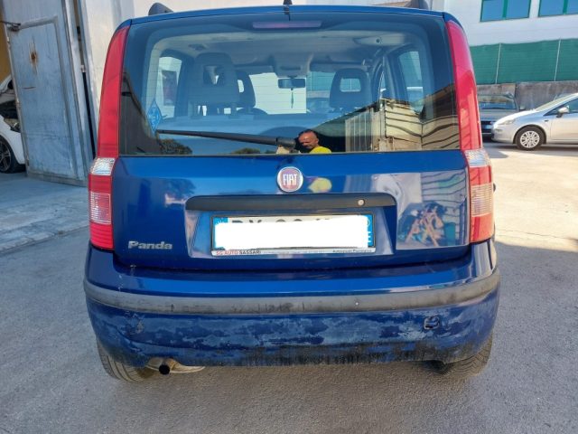 FIAT Panda usata 7