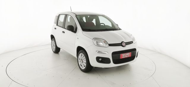 FIAT Panda usata 24