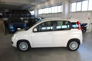 FIAT Panda usata, con Airbag Passeggero