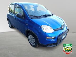 FIAT Panda usata, con ESP