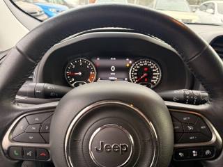 JEEP Renegade usata, con Boardcomputer