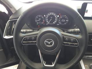 MAZDA CX-60 usata, con Boardcomputer