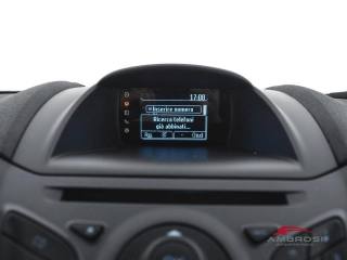 FORD Fiesta usata 14