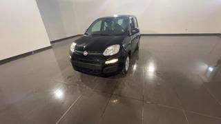 FIAT Panda 1.0 FireFly S&S Hybrid - VARI COLORI!