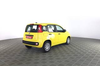 FIAT Pandina usata 3