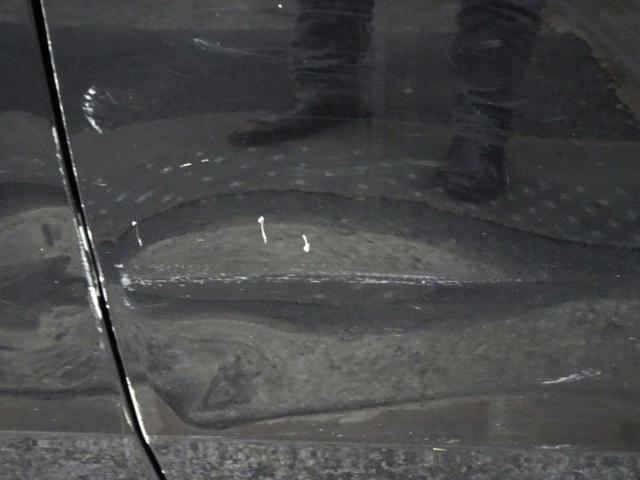 FIAT Punto Evo usata, con Controllo trazione