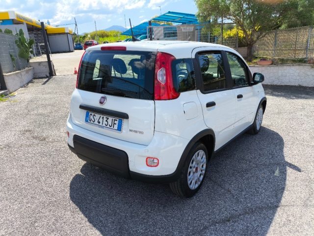FIAT Panda usata 5