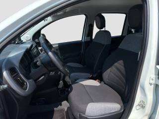 FIAT Panda usata 9