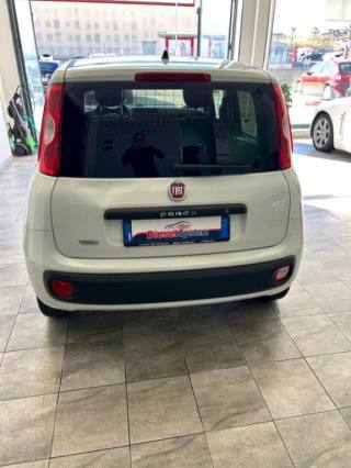FIAT Panda usata, con Airbag laterali
