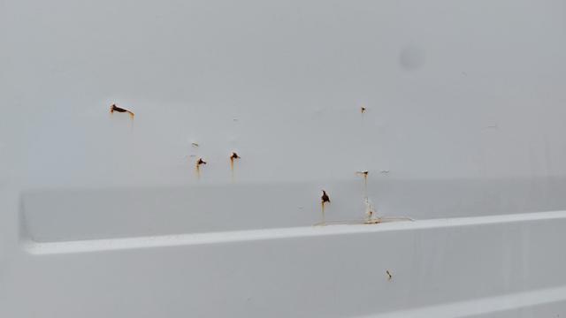 IVECO Daily usata 15