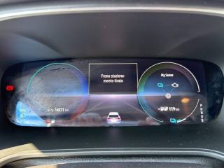 RENAULT Megane usata 14