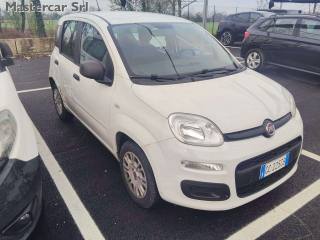 FIAT Panda usata, con Airbag Passeggero