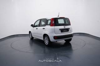 FIAT New Panda usata, con Alzacristalli elettrici