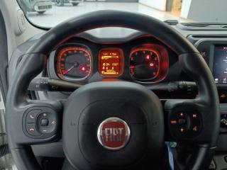 FIAT Panda usata 16