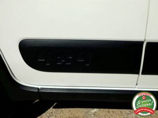FIAT Panda usata 30