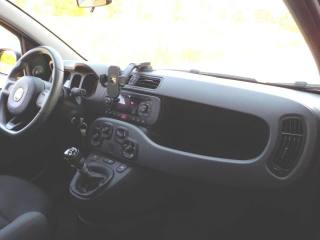 FIAT Panda usata, con Marmitta catalitica