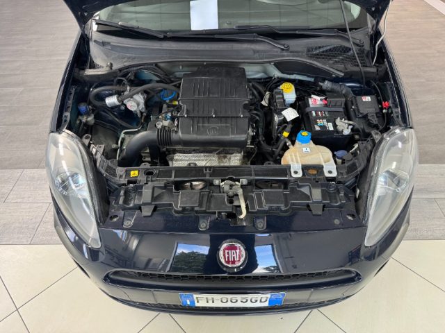 FIAT Punto usata 26