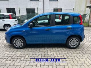 FIAT Panda usata, con Controllo trazione
