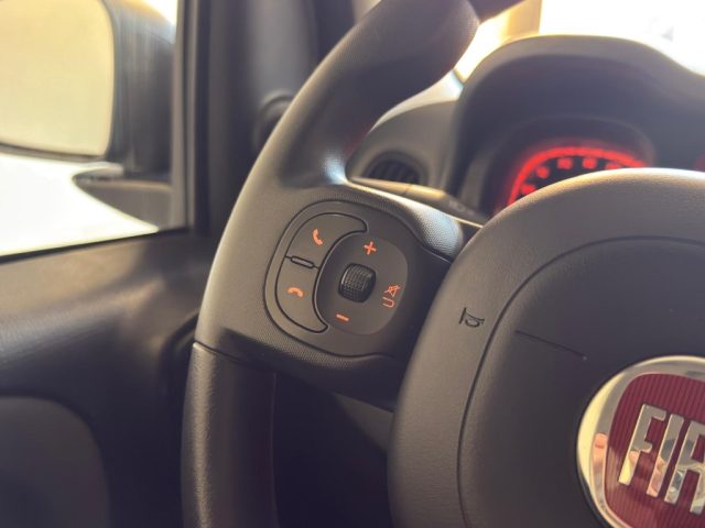 FIAT Panda usata 14
