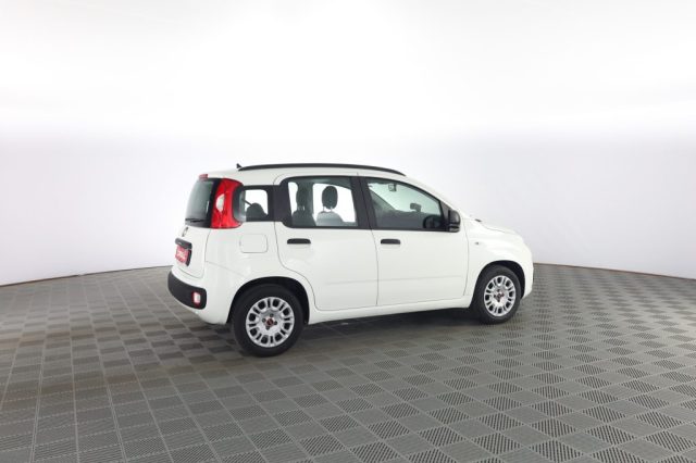 FIAT Panda usata 2