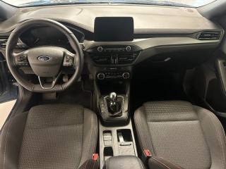 FORD Focus usata, con Fendinebbia