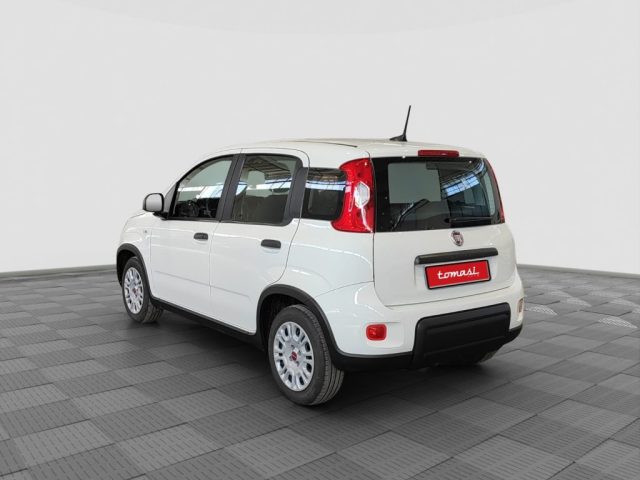 FIAT Panda usata 2