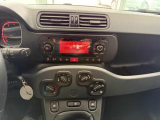 FIAT Panda usata 8