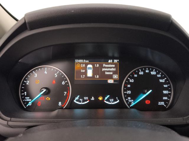 FORD EcoSport usata, con Fendinebbia