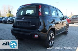 FIAT Panda usata 2