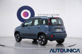 FIAT Panda usata, con Trazione integrale