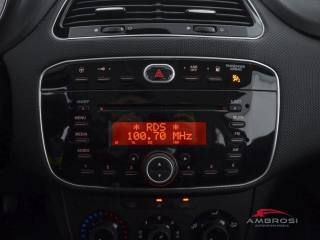 FIAT Punto usata 13