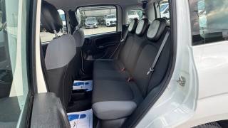 FIAT New Panda usata, con Immobilizzatore elettronico