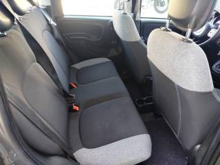 FIAT Panda usata 16