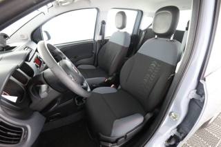 FIAT Panda usata 2